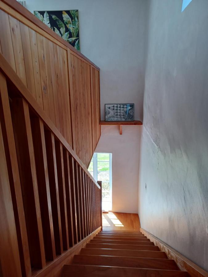 Pirita Vineyard Cottage. Upper Moutere Exteriör bild