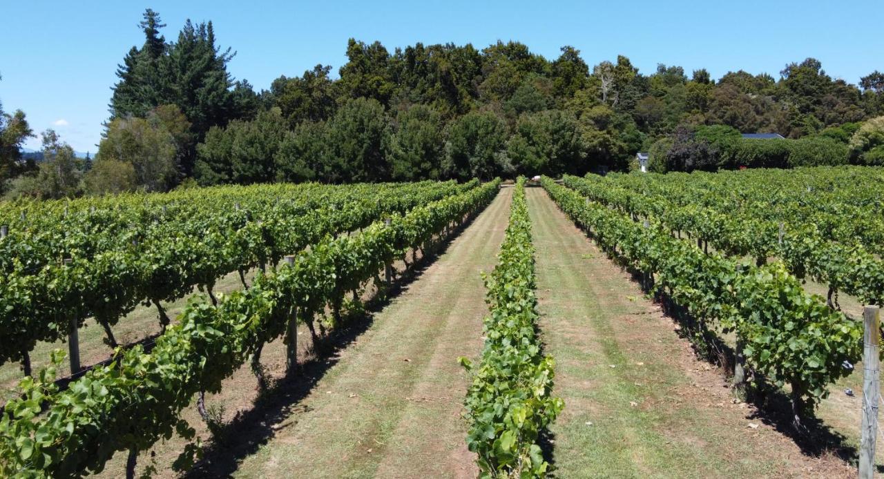 Pirita Vineyard Cottage. Upper Moutere Exteriör bild
